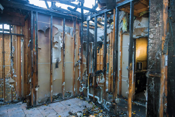 Professional Odor Removal technician working in Madison, OH